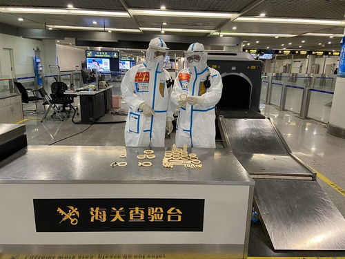 警惕！回蓉旅客攜帶象牙手鐲被成都海關(guān)查獲，教學模型制造需守法規(guī)