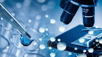 生物類似藥研發(fā)中的技術轉讓 關鍵問題與策略解析